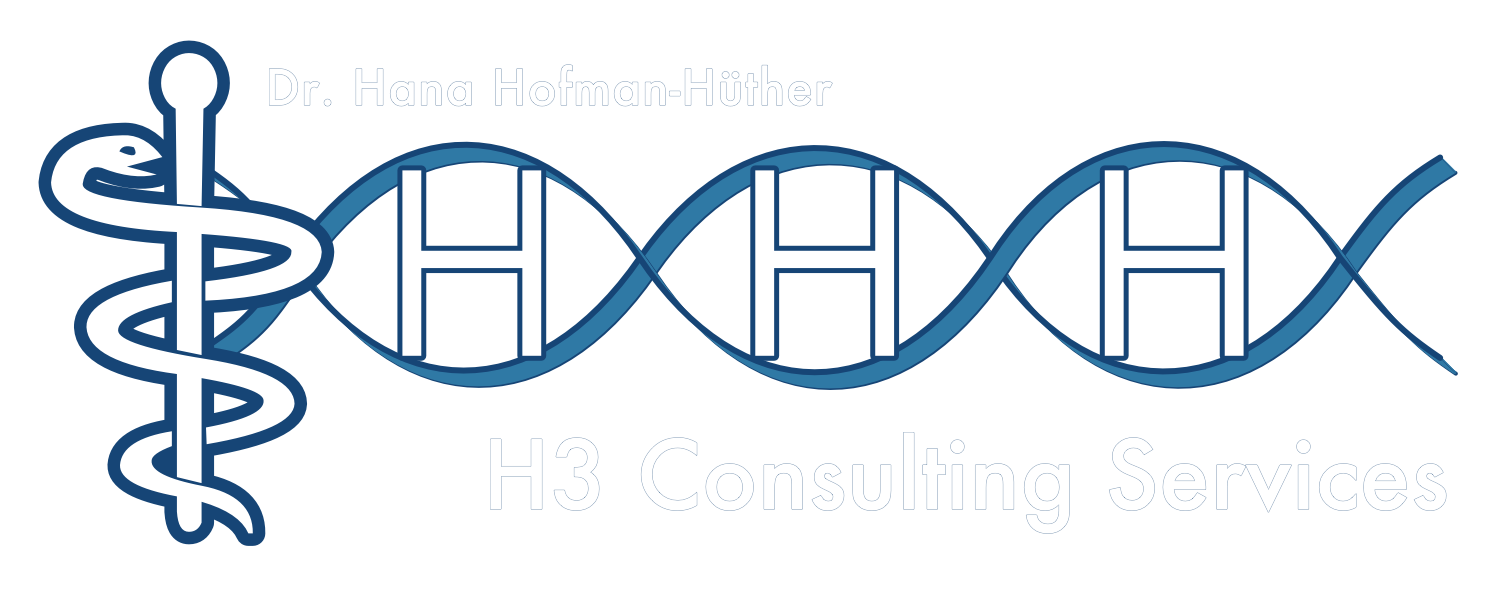 H3 Consulting Services